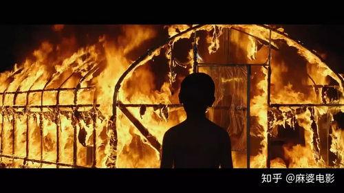 电影燃烧